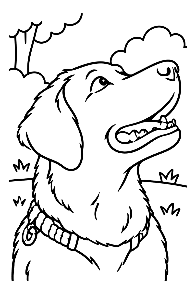 Coloring page of a labrador, made from a photo