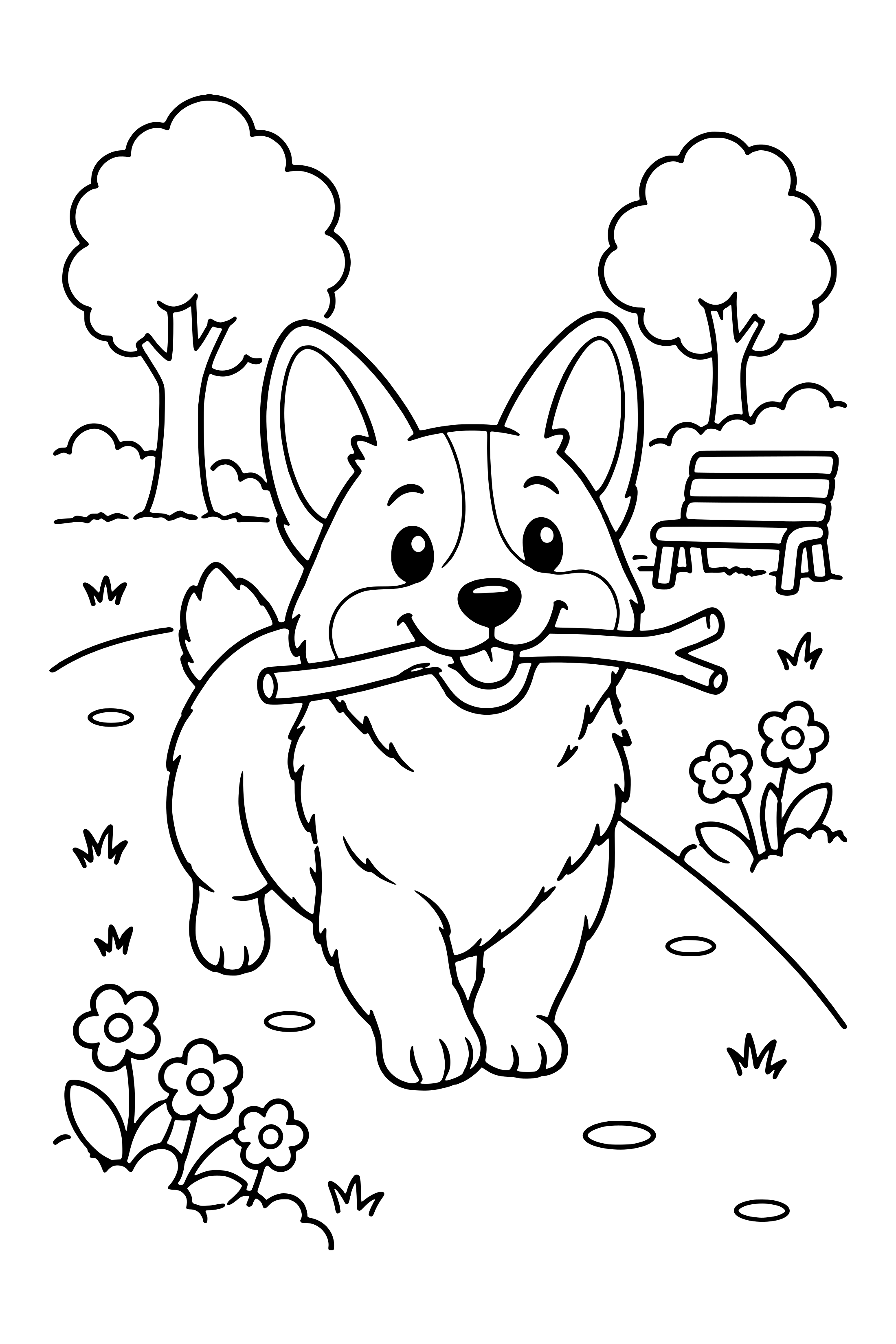 Coloring page of a happy corgi trotting along a park path with a stick