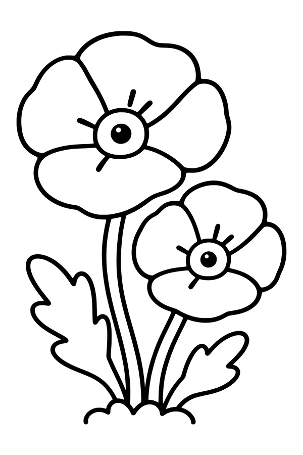 Coloring page of two large poppies with wide petals and simple dark centers