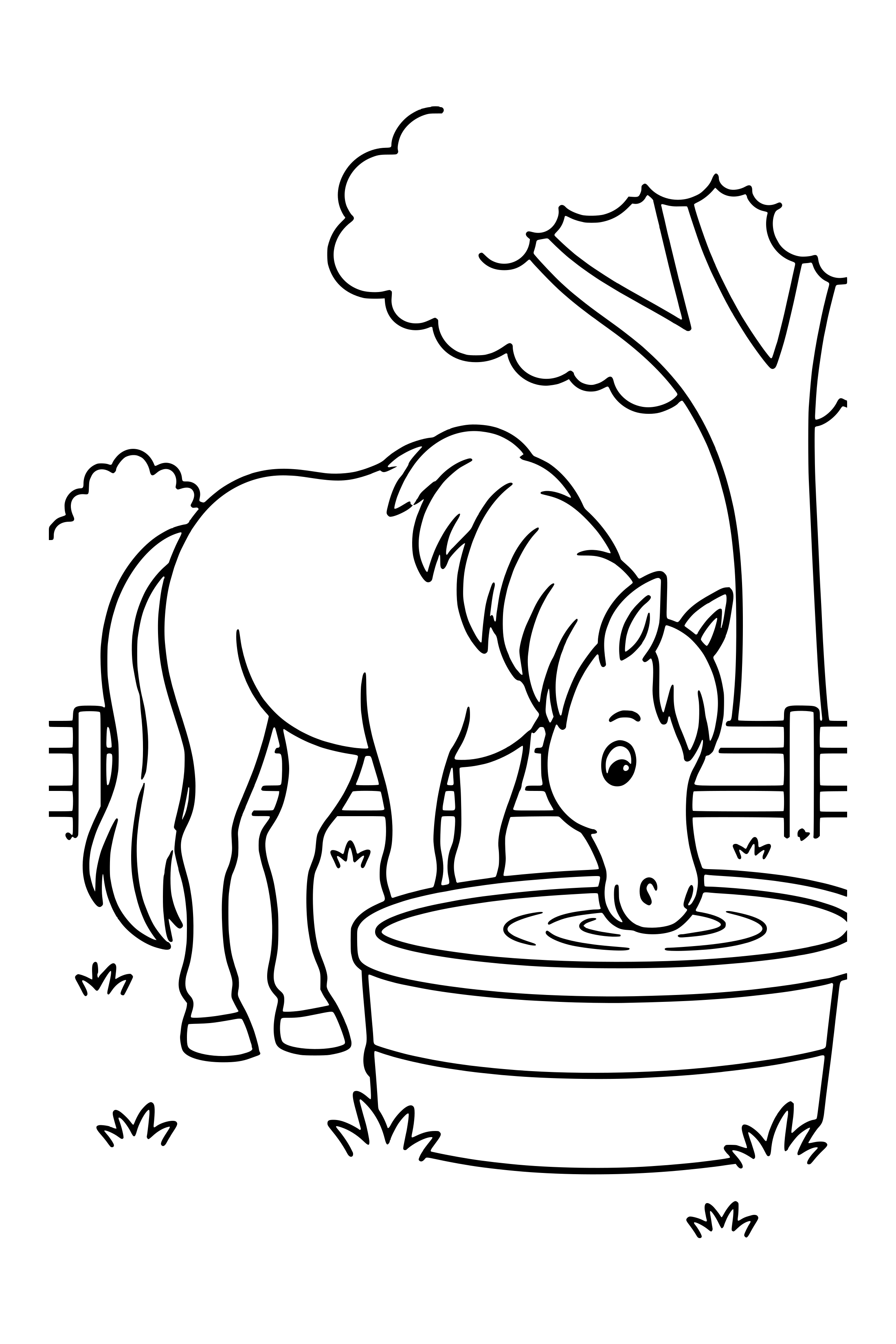 Coloring page of a horse drinking from a broad water trough under a tree
