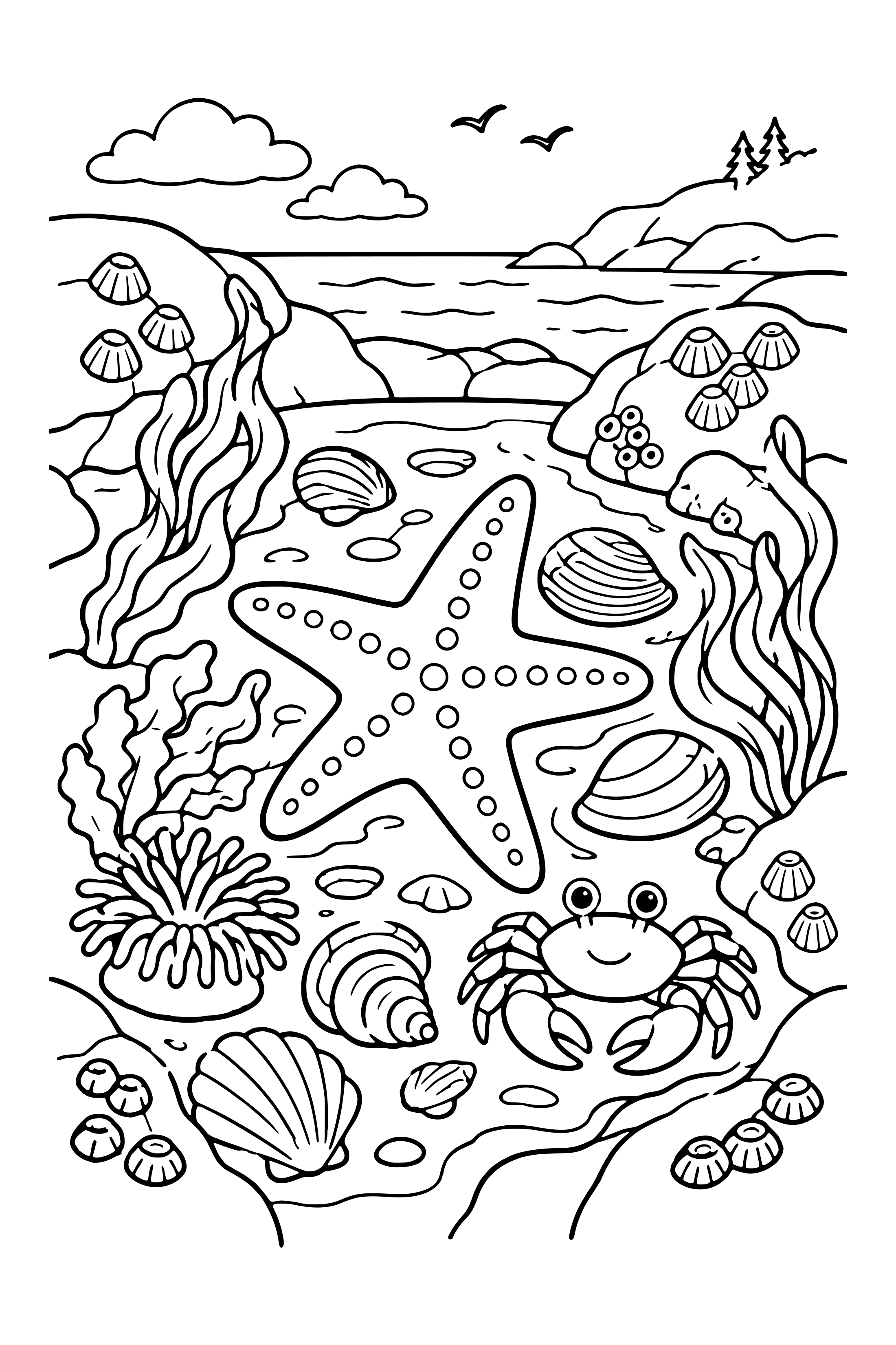 Coloring page of a rocky tide pool containing a sea star, shells, a small crab and seaweed