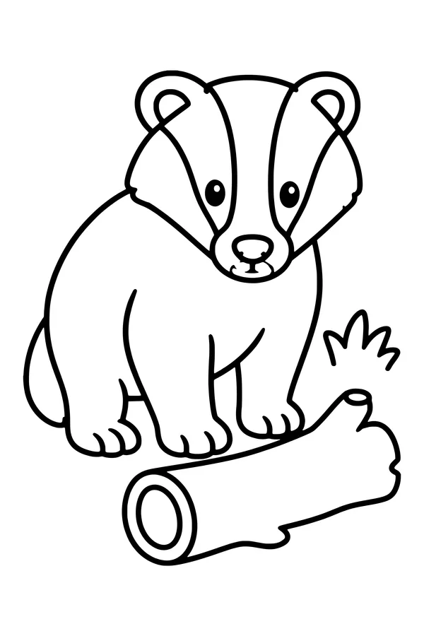 Coloring page of a badger with broad face stripes beside a fallen log