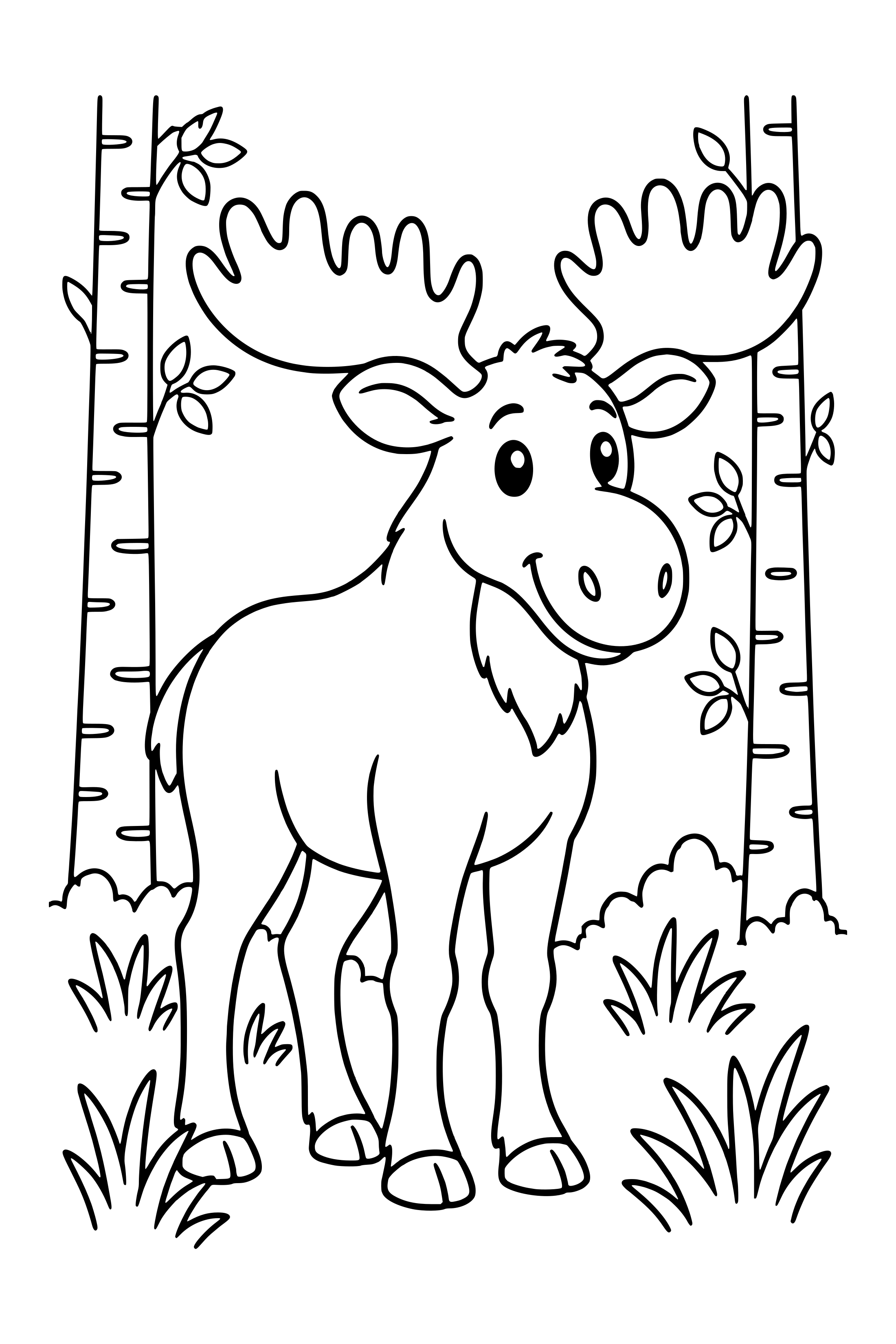 Coloring page of a moose standing among a few birch trees and broad grasses