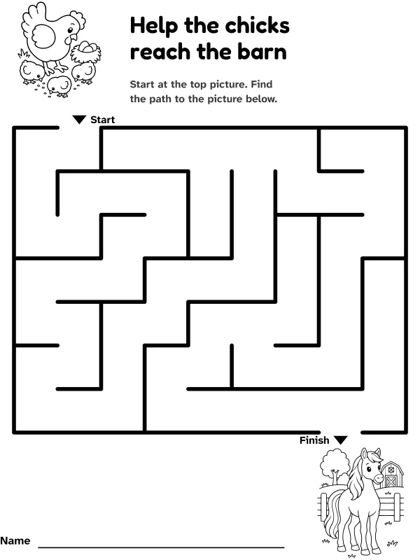 Chicks to barn maze